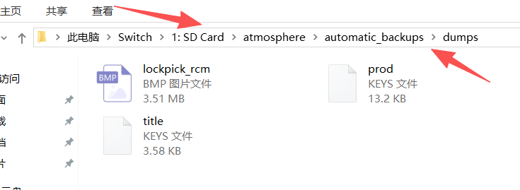 Computer file manager showing the SD card drive and folders